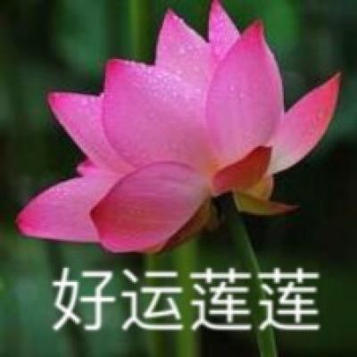 保卫西游手游官方版(暂未上线)v1.3.0 安卓版